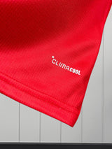 Wales WM 2026 Heimtrikot