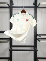 Wales 2026 World Cup Away Shirt